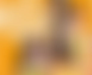 「勝利の果実」BELLY BUTTON