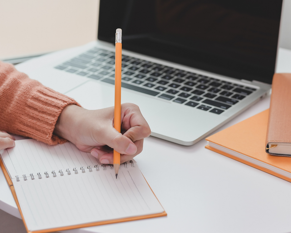 A pluralidade dos textos