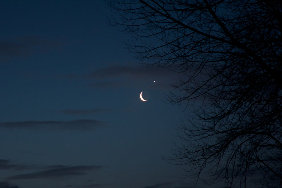 Crescent moon and planet visible through tree branches at night