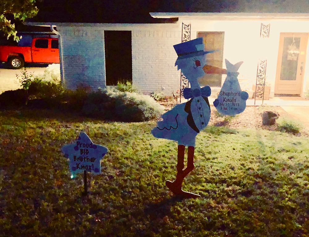 Stork sign and sibling sign