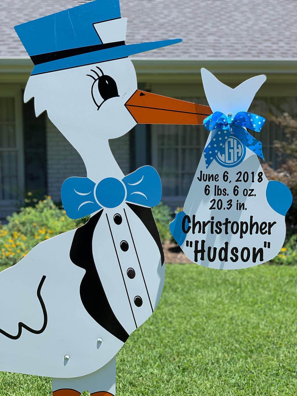boy stork bundle