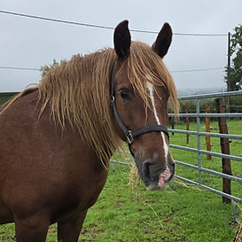 WhatsApp Image 2025-11-24 à 18.26.09_d4d19279.jpg