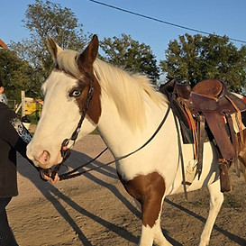 WhatsApp Image 2025-11-24 à 18.26.09_cfedd6e6.jpg