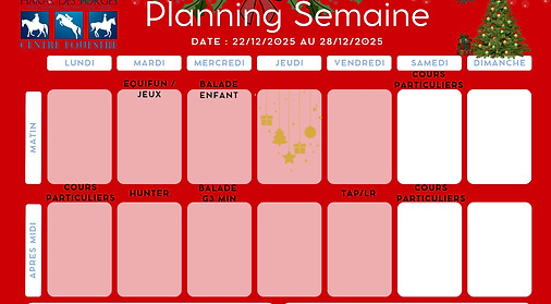 WhatsApp Image 2025-11-19 à 08.16.34_36e11ee3.jpg