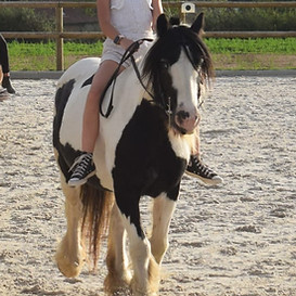 WhatsApp Image 2025-11-24 à 18.26.09_75793b02.jpg