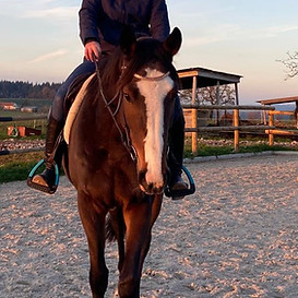 WhatsApp Image 2025-11-24 à 18.22.06_2a9df675.jpg