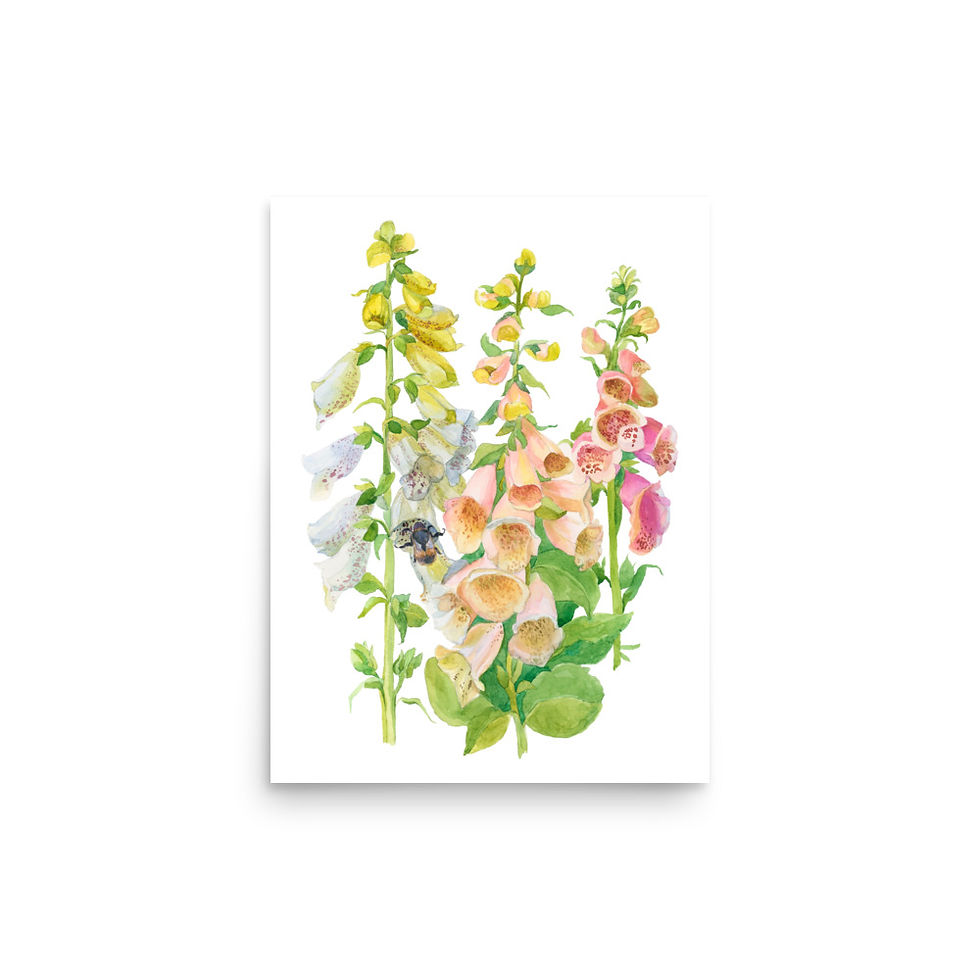 Thumbnail: Foxglove