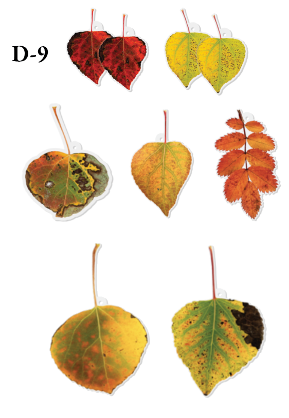 Thumbnail: Fallen Leaf Ornament Sets