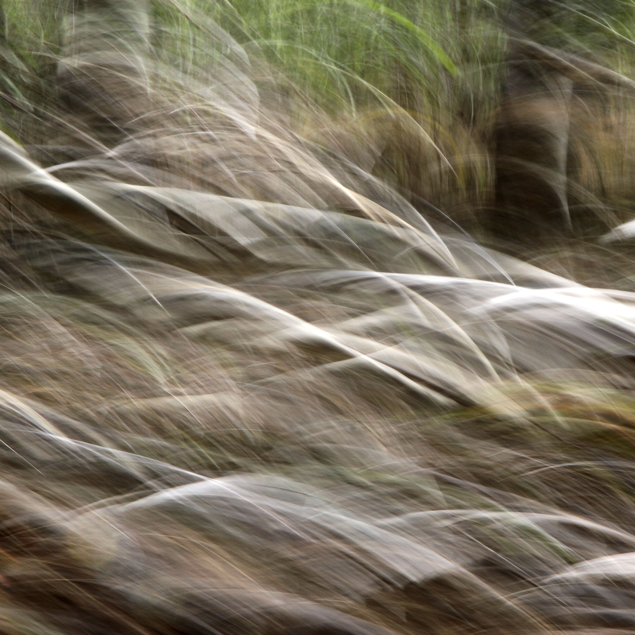 Along the Dirt Road, Beneath the Aspens, No. 1208-536, 24"x24"