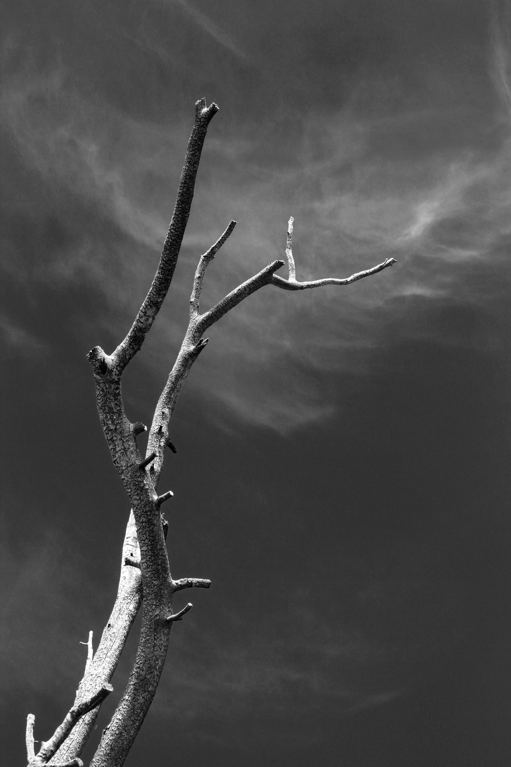 Dancing with the Clouds, 18-1028-92