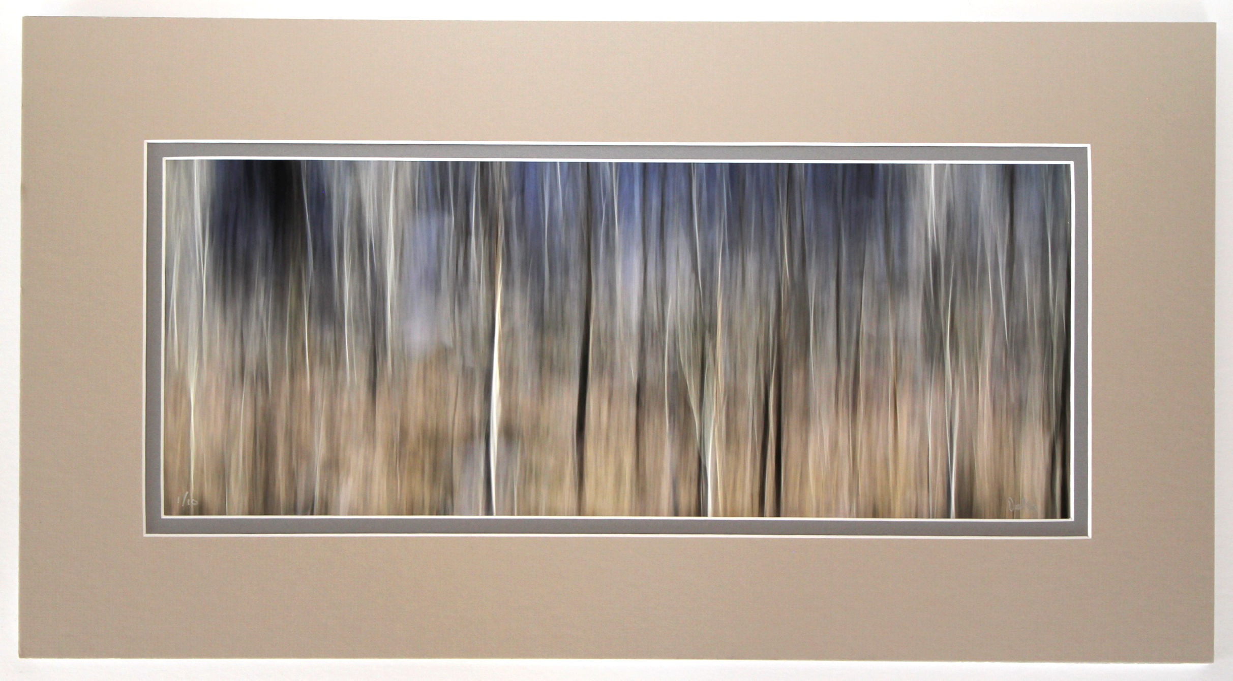 8x20 No. 1511-0010, matted