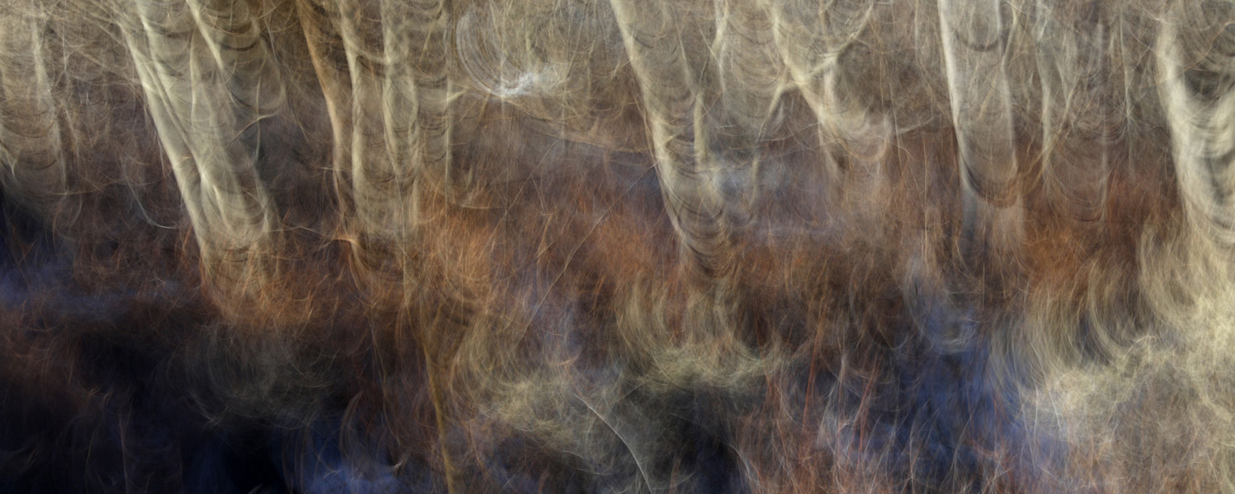 Motions, A Winter's Morning 2401-7020