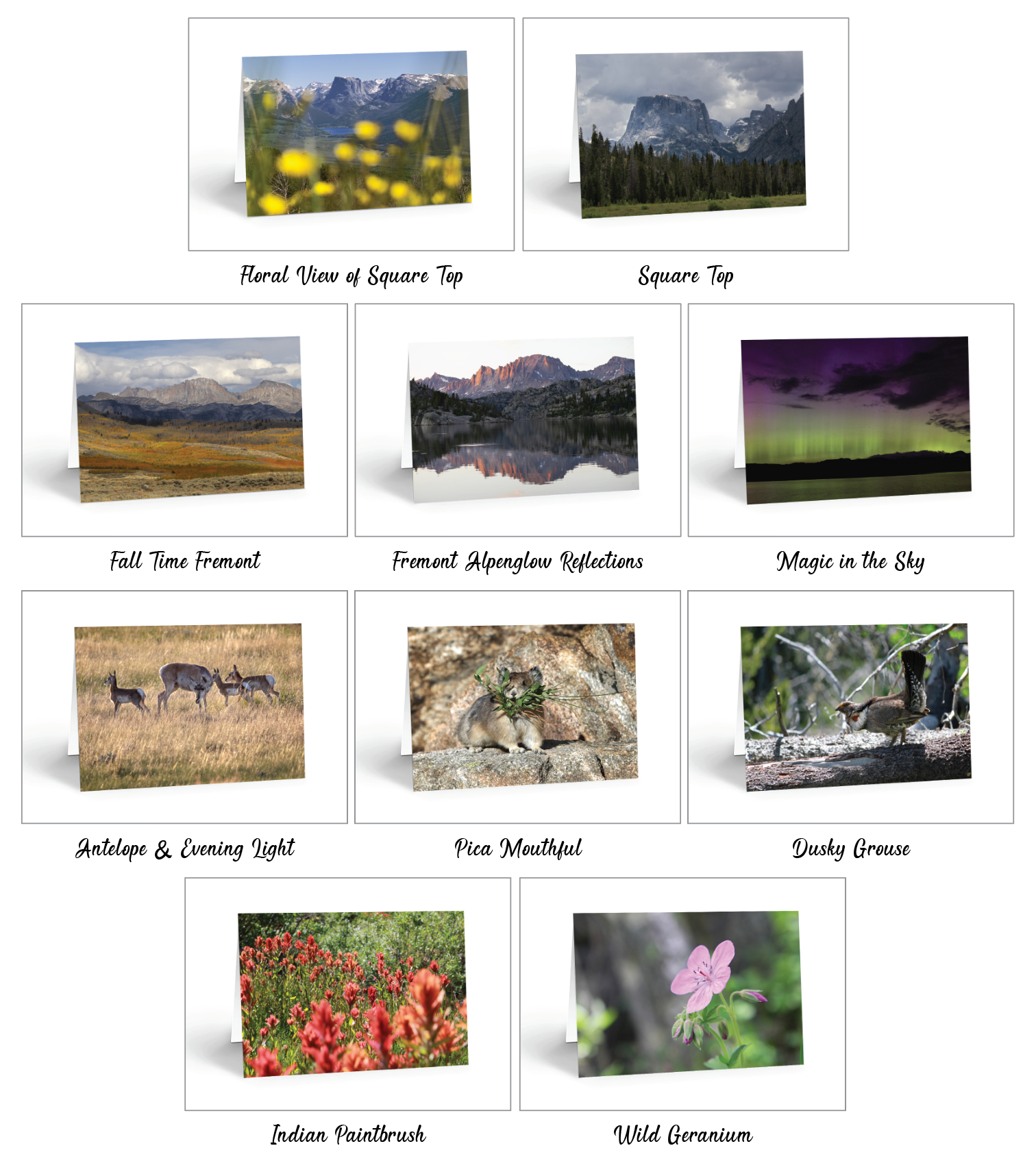 Note Cards, 10 image options to choose from!