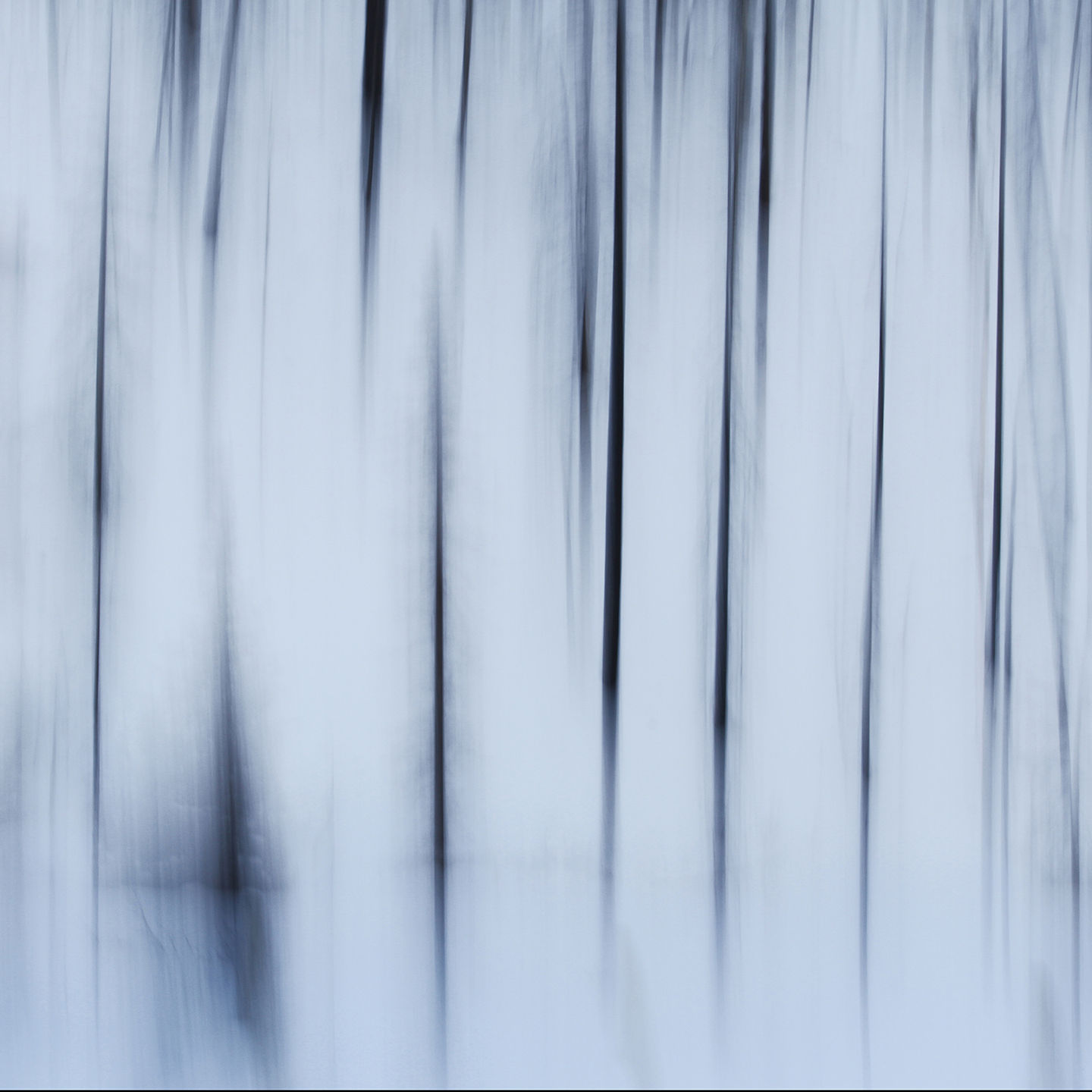 In the Shadows of Winter 1901-0167