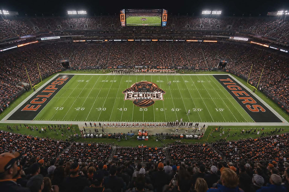new stadium pic website.jpg