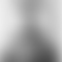 Memoir of Domenic Fusco