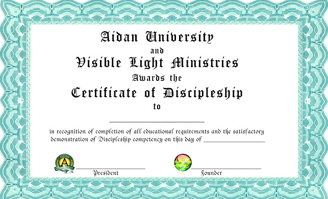 AidN-VL-Certificate-8-5X11-blue_edited.jpg