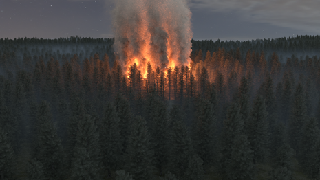 Forest Fire Render Image