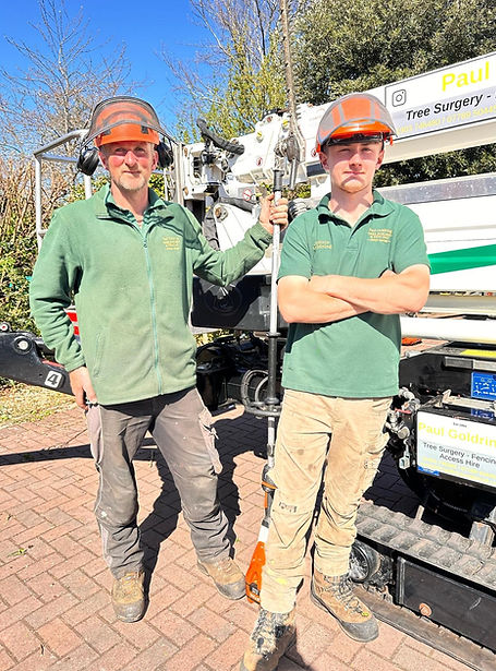Two tree surgeons