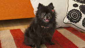 今の時期にピッタリパーフェクト保湿