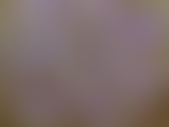 「香」セットお届け便・お得な4本以上のセットについて。