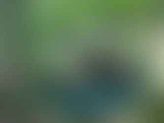 7/19(日・夏土用入)〜22(水)関東セッションのお知らせ。