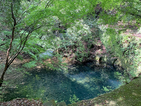 7/19(日・夏土用入)〜22(水)関東セッションのお知らせ。