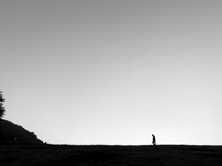 11月セラピー日程。