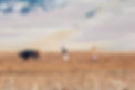istockphoto-1308836066-612x612_edited.jpg