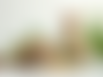 Cosmética natural: belleza en armonía con la naturaleza