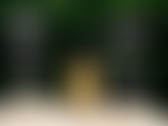 🌿 Descubre el poder de las Tinturas Madre: salud y bienestar integral en cada gota