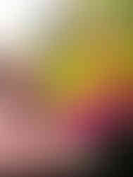 Power Music & Dance Clogging Teams Shine at Idaho State Championships!