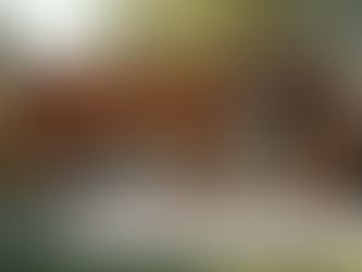 The Ultimate Guide to Buying an Outdoor Kitchen Pod