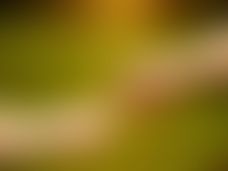 O MILAGRE DA GENTILEZA