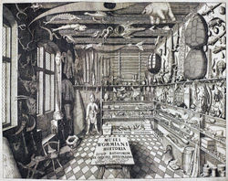 Musei_Wormiani_Historia-min