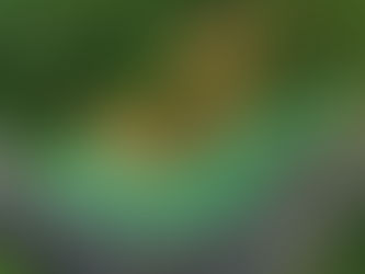 Concluyen trabajos de recuperación en tramo de la carretera en Chiriquí, Panamá