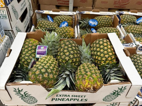 Piña panameña gana espacio en Canadá y llega a las tiendas Costco de Toronto