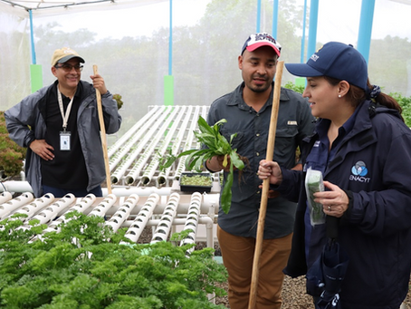 Agrosostenible convierte finca en laboratorio de innovación para una agricultura más eficiente en Panamá