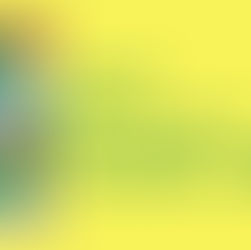 【仙台・東京巡回展レポート】～第８回公募展　入賞作品展～