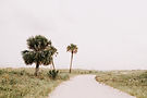 palm-trees-on-the-beach-in-florida-2026-03-13-01-38-54-utc.jpg