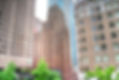 4806041748_4d7eeee3b7_o_edited_edited_edited.jpg