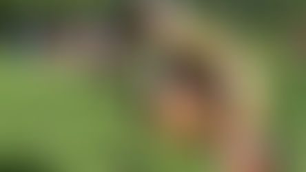 نسبت زنانگی و محیطزیست؛ تبارشناسی سلطه و افقهای رهایی