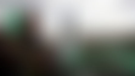 چگونه حماس جایگاه خود را در جنبش سیاسی فلسطین تثبیت کرد؟