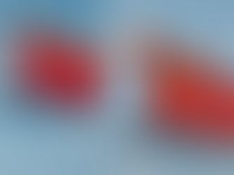 رقابت چین و ترکیه در اوراسیا و کردستان متغییری پنهان