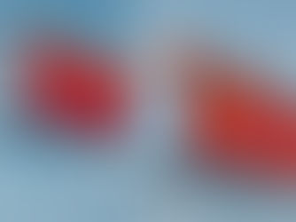 رقابت چین و ترکیه در اوراسیا و کردستان متغییری پنهان