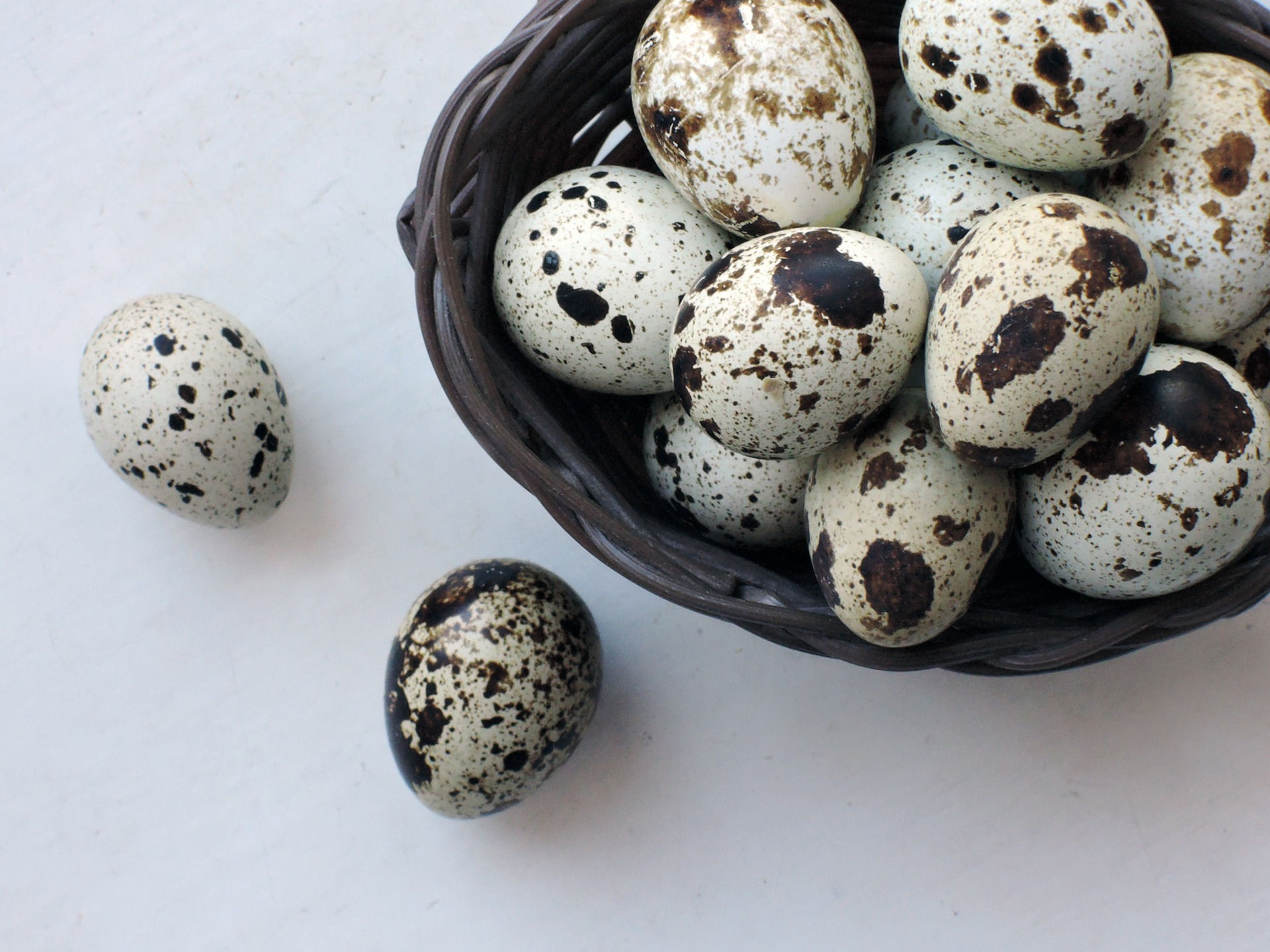Quail eggs