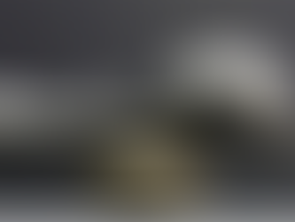 Chegamos aos cem dias…hora de fazer um balanço