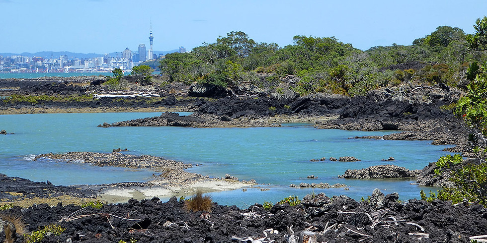 SASS Nature Series #1: Rangitoto Trip