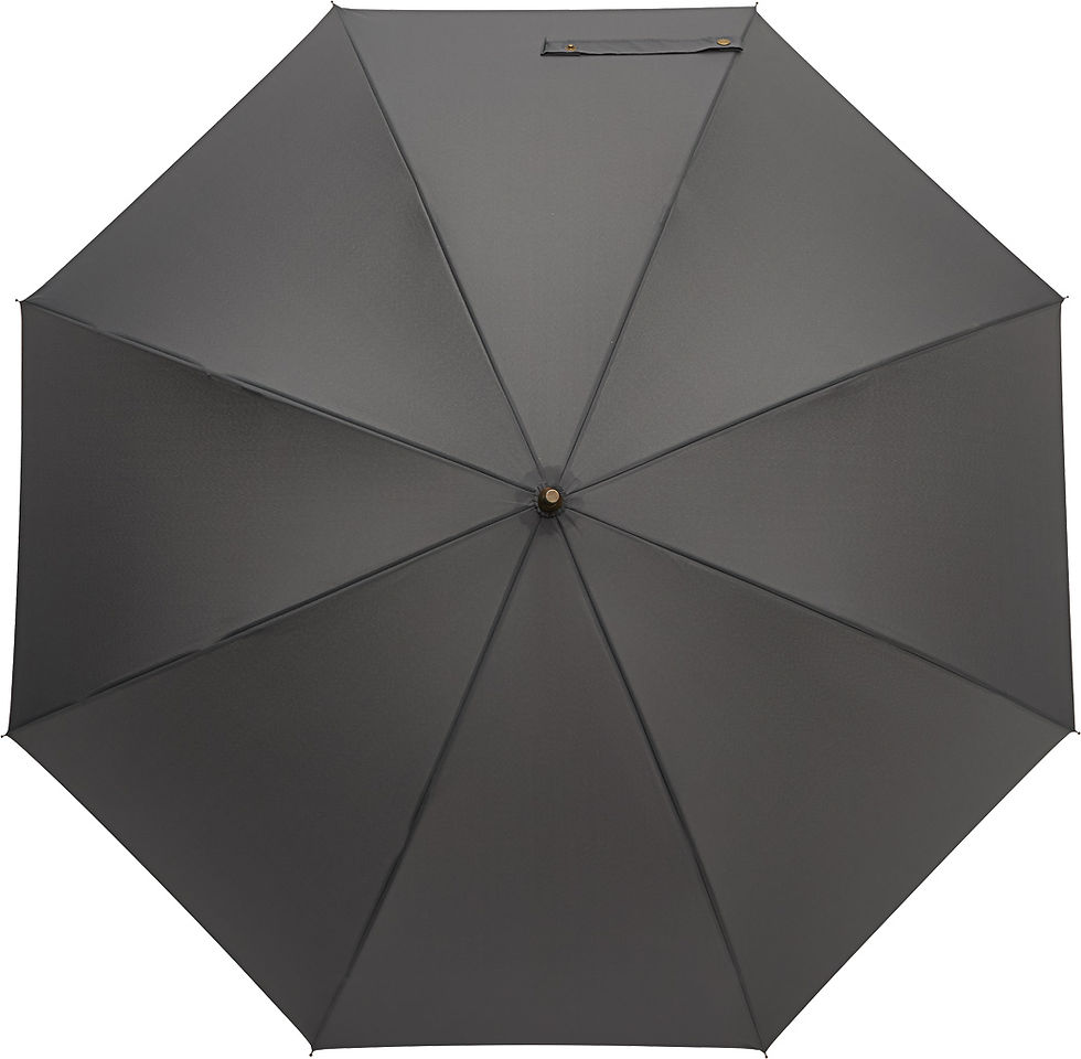 Miniature : PARAPLUIE POLKA