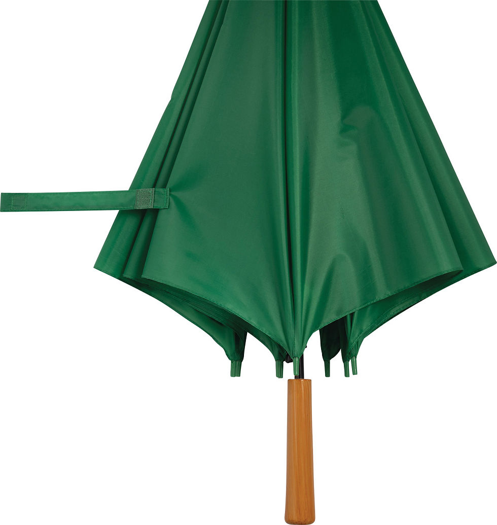 Miniature : PARAPLUIE LIMBO